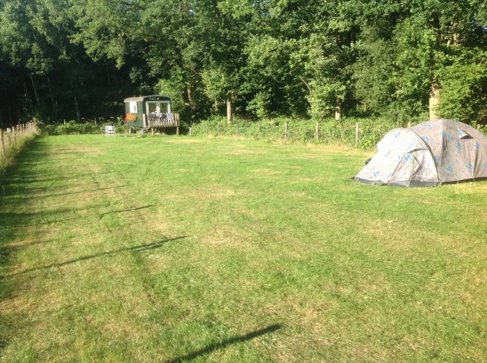 Minicamping Zus & Zus