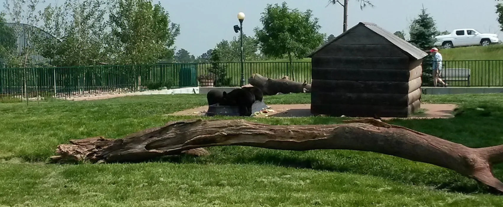 Mystery Mountain Resort