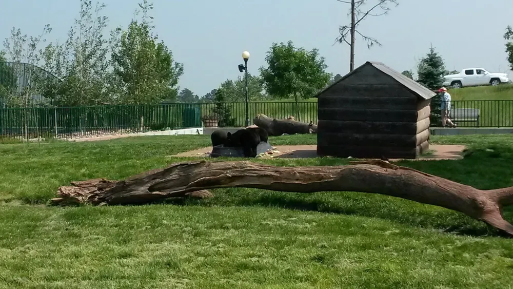 Mystery Mountain Resort