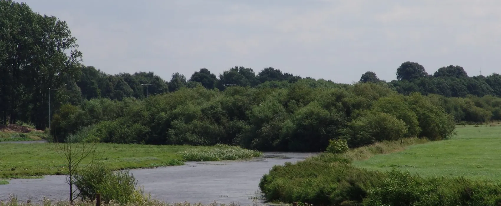 Minicamping Het Zwammetje