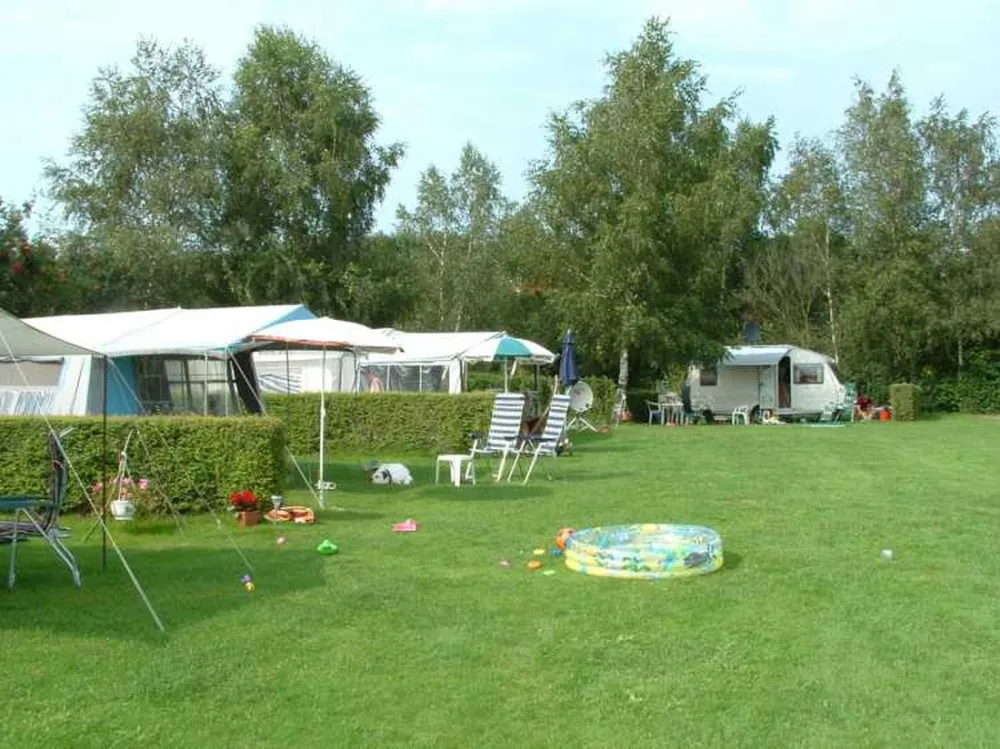 Minicamping Het Zwammetje