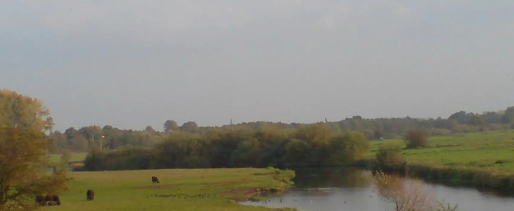 Minicamping Het Zwammetje