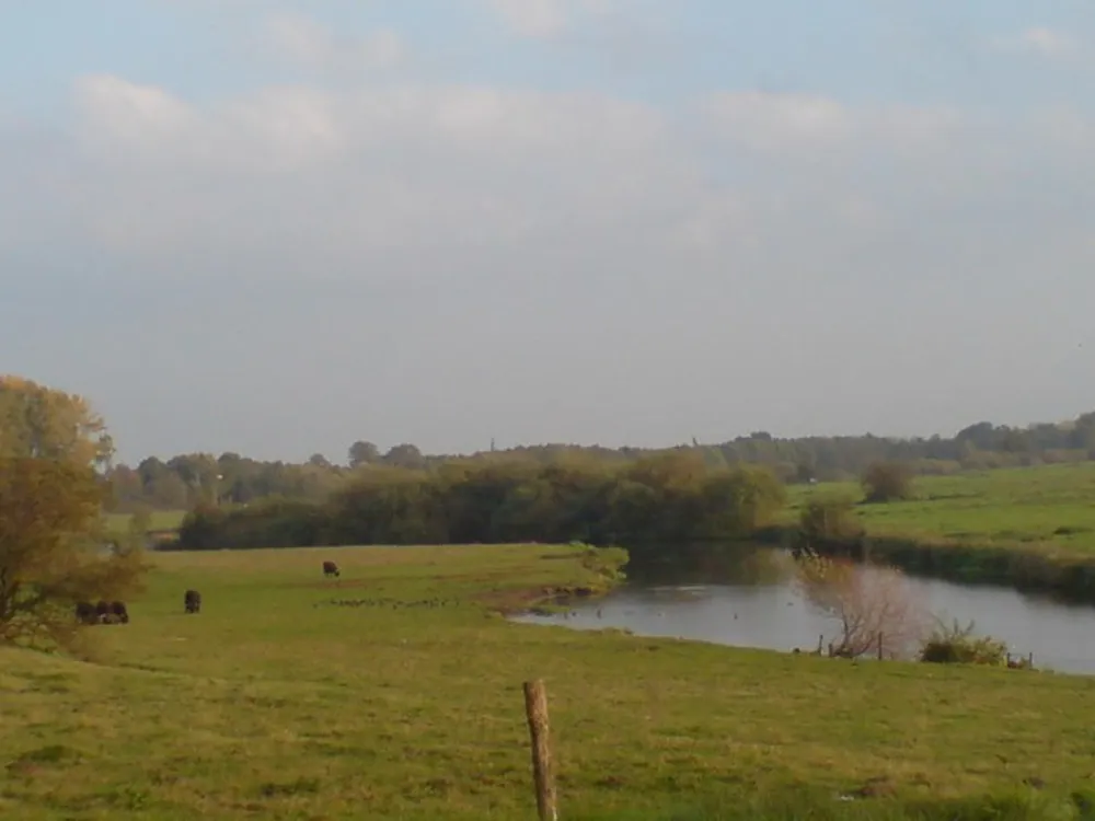 Minicamping Het Zwammetje