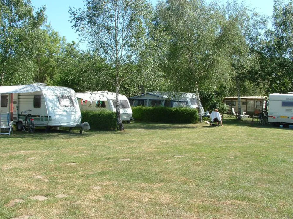 Minicamping Het Zwammetje