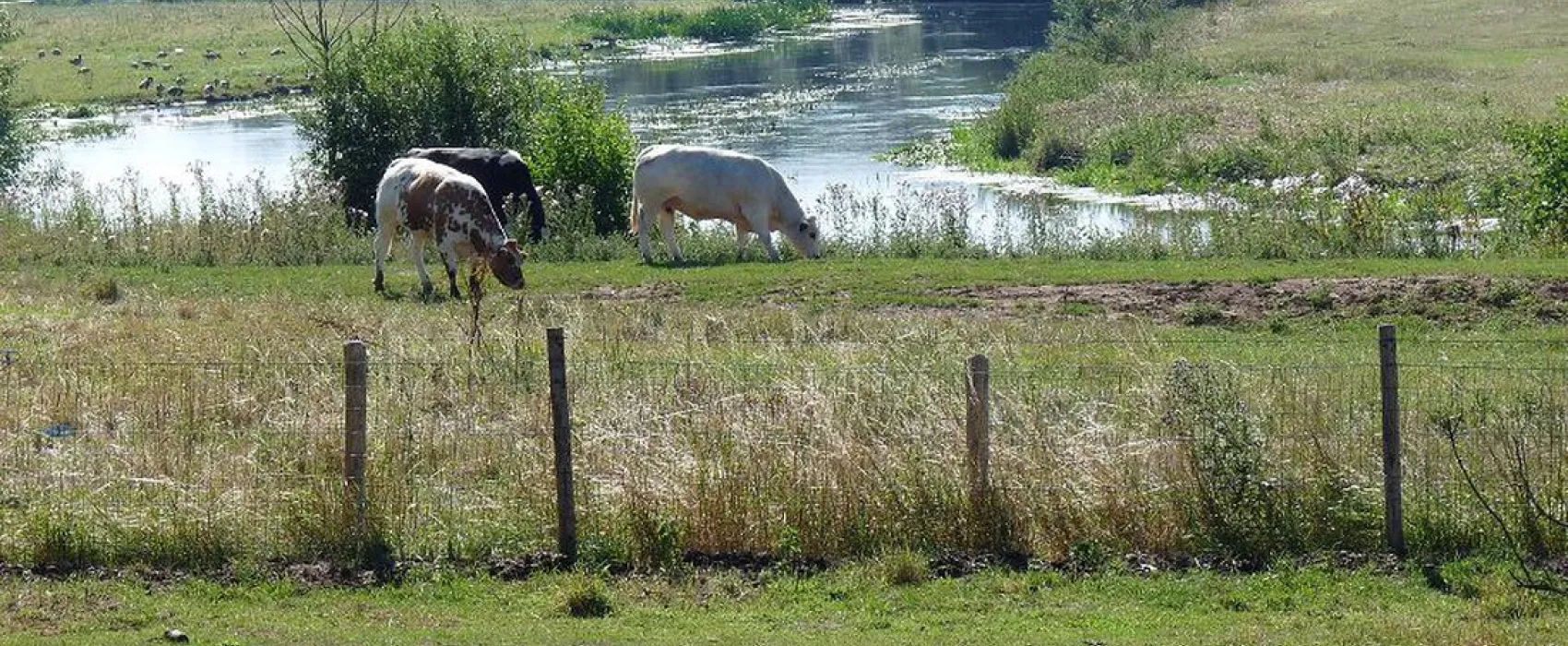 Minicamping Het Zwammetje