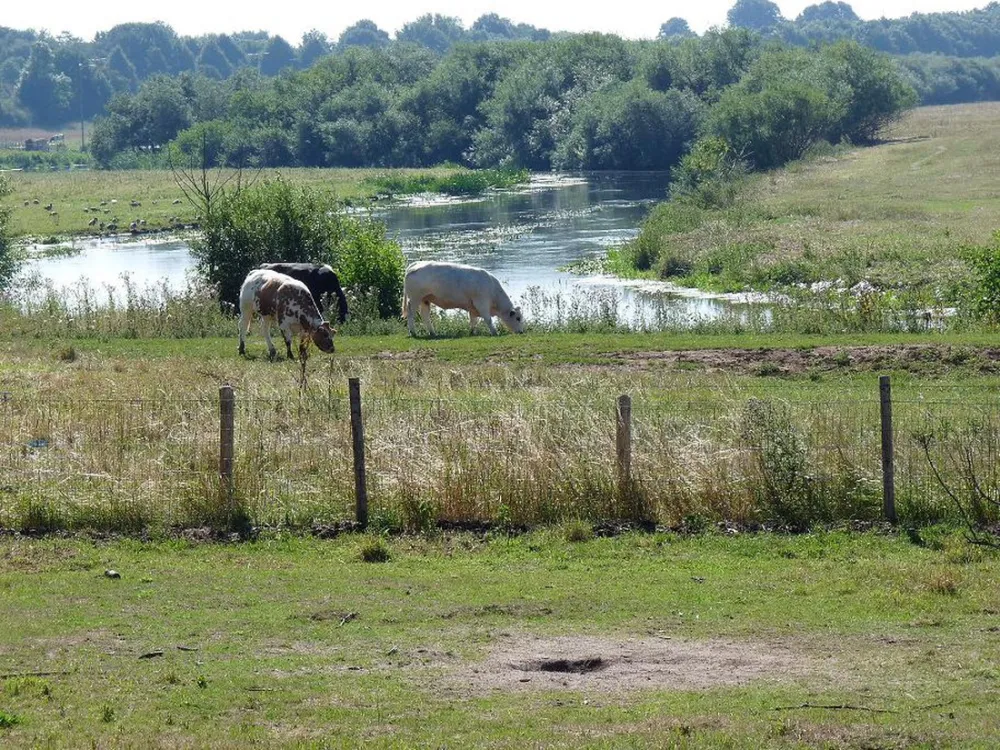 Minicamping Het Zwammetje