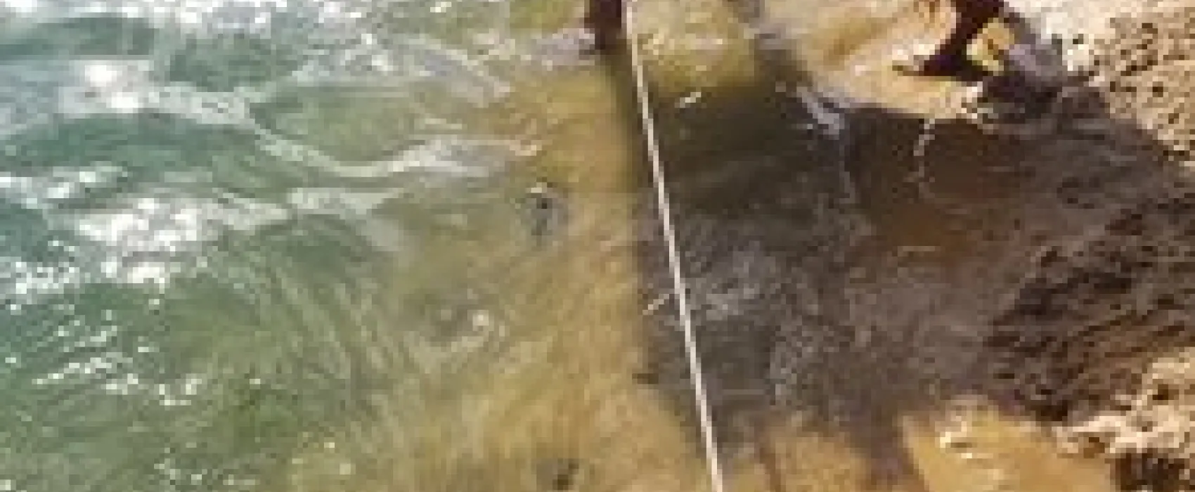 Chapparal Campground & Resort