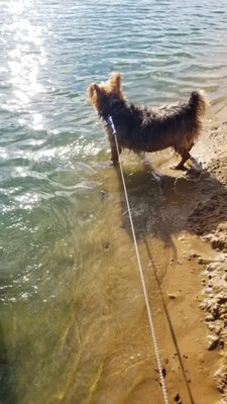 Chapparal Campground & Resort