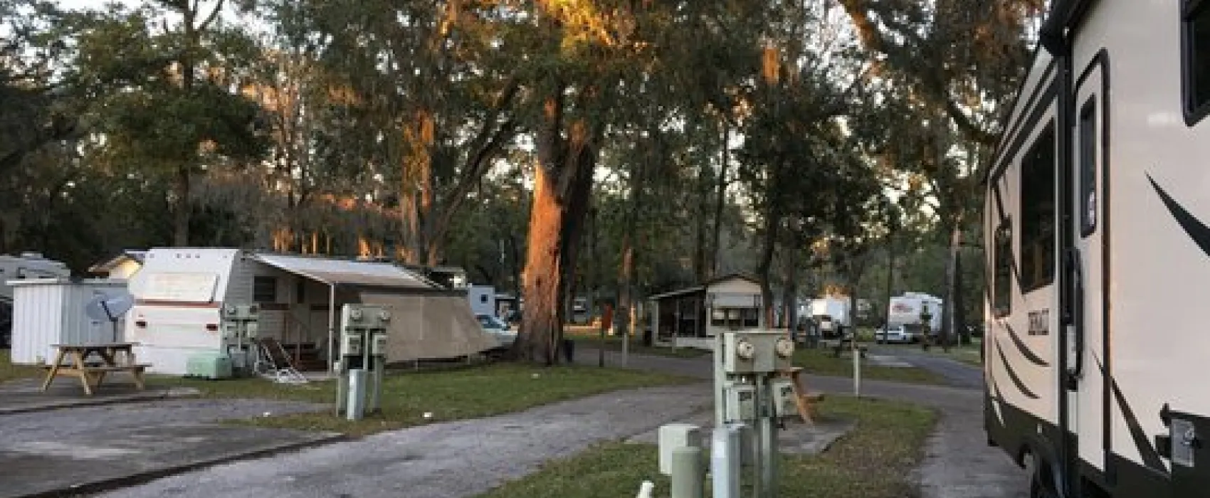 Cloverleaf Forest RV Resort