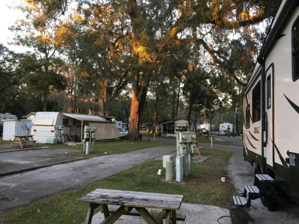 Cloverleaf Forest RV Resort