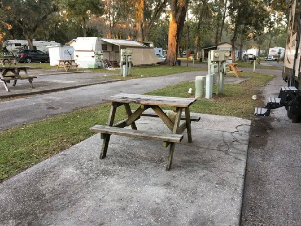 Cloverleaf Forest RV Resort