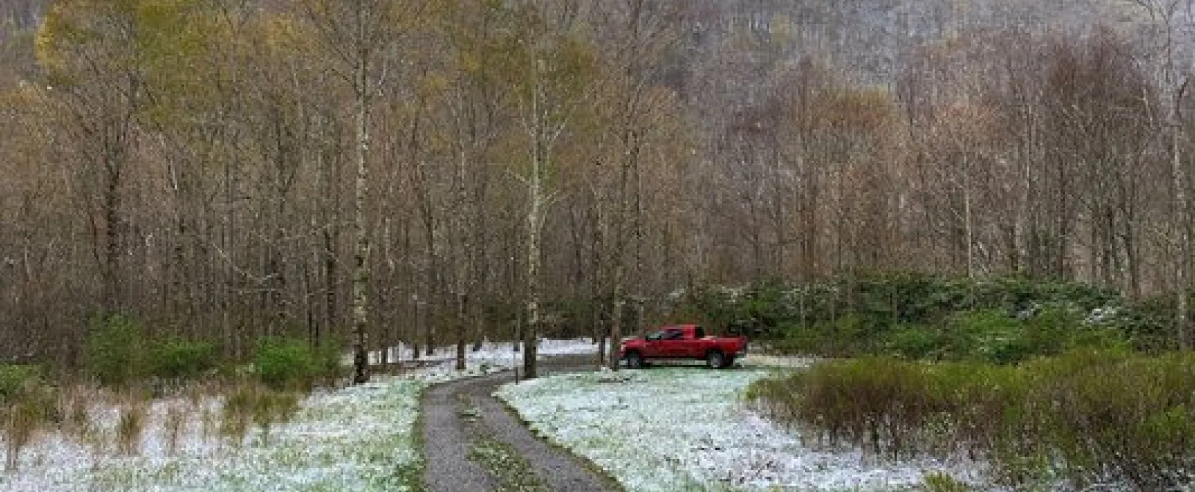 Anthony Creek Dispersed Camping