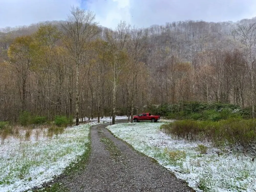 Anthony Creek Dispersed Camping