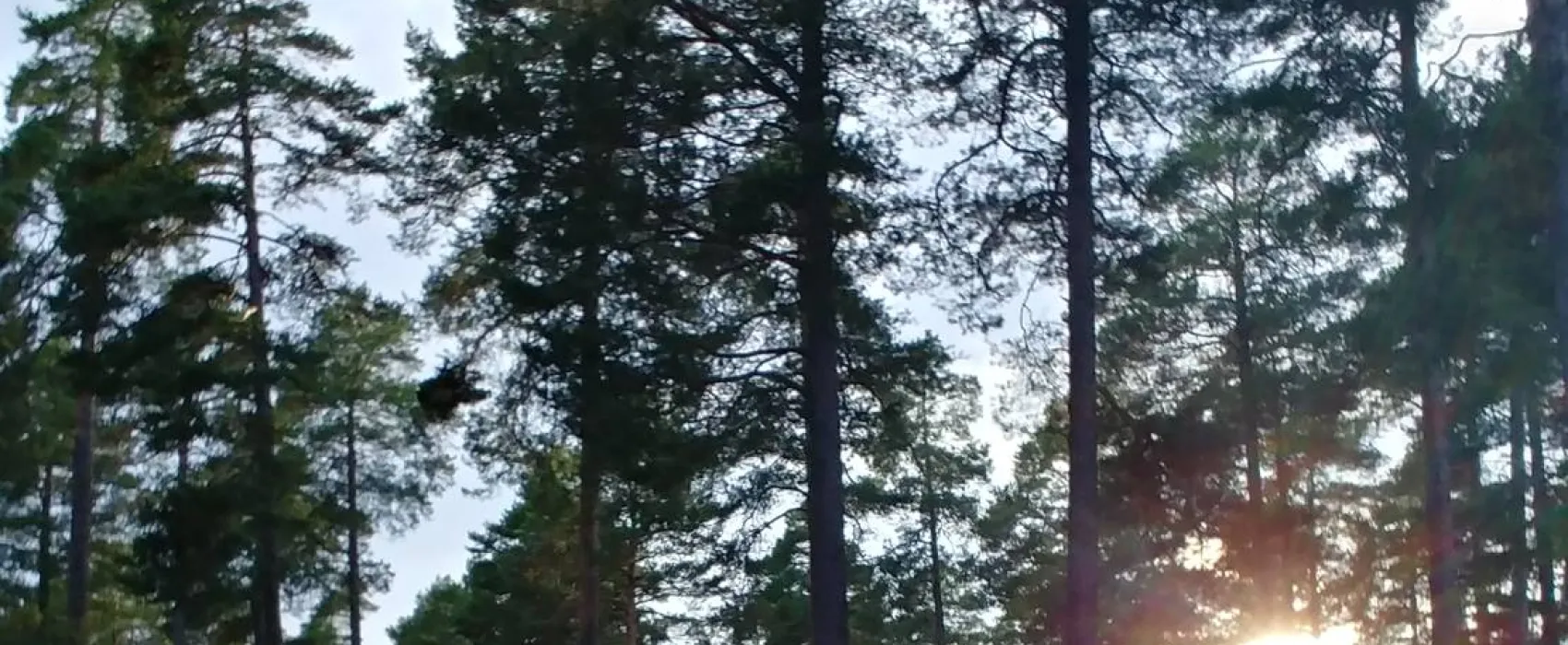 Norra Dellen Familjecamping