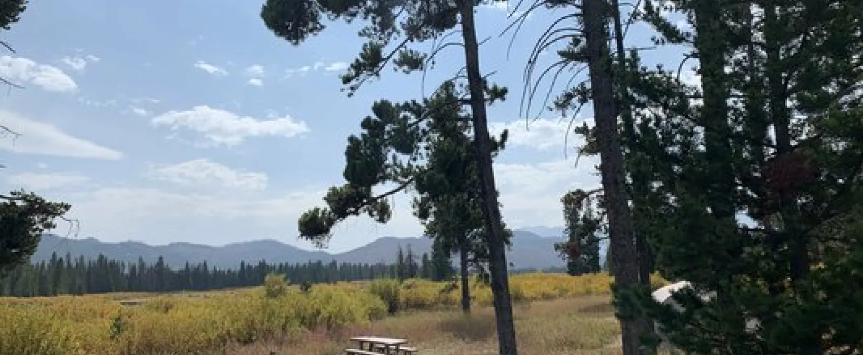 Grassy Lake Road Campsite #2