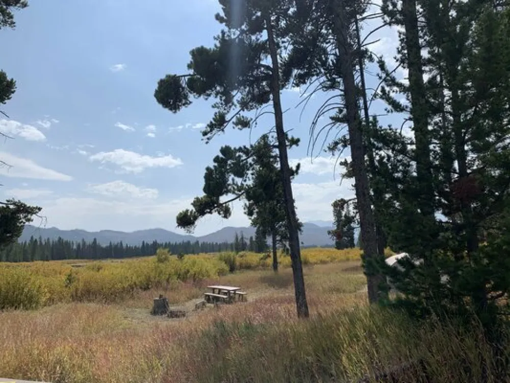 Grassy Lake Road Campsite #2