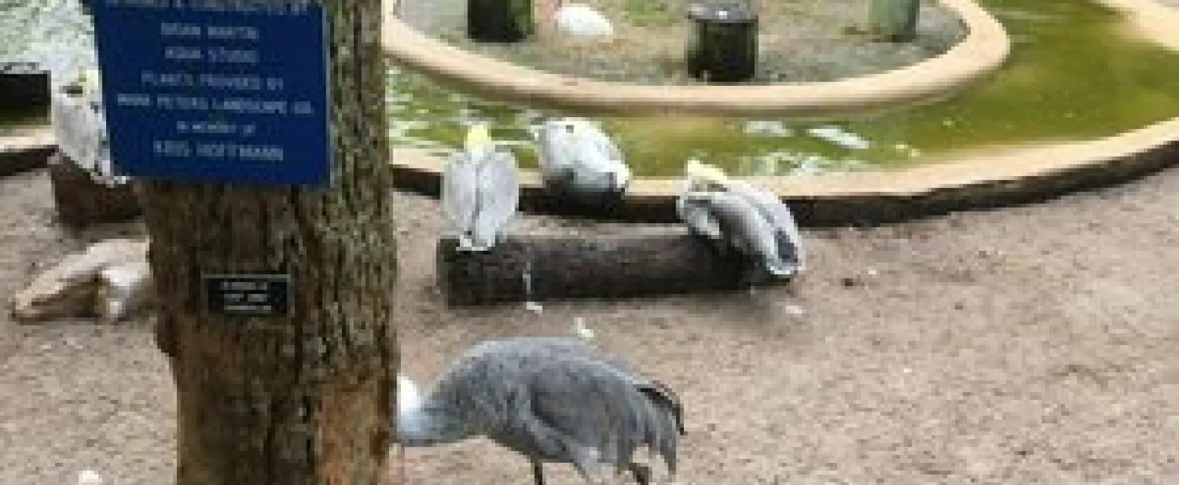 Encore Gulf View RV Resort