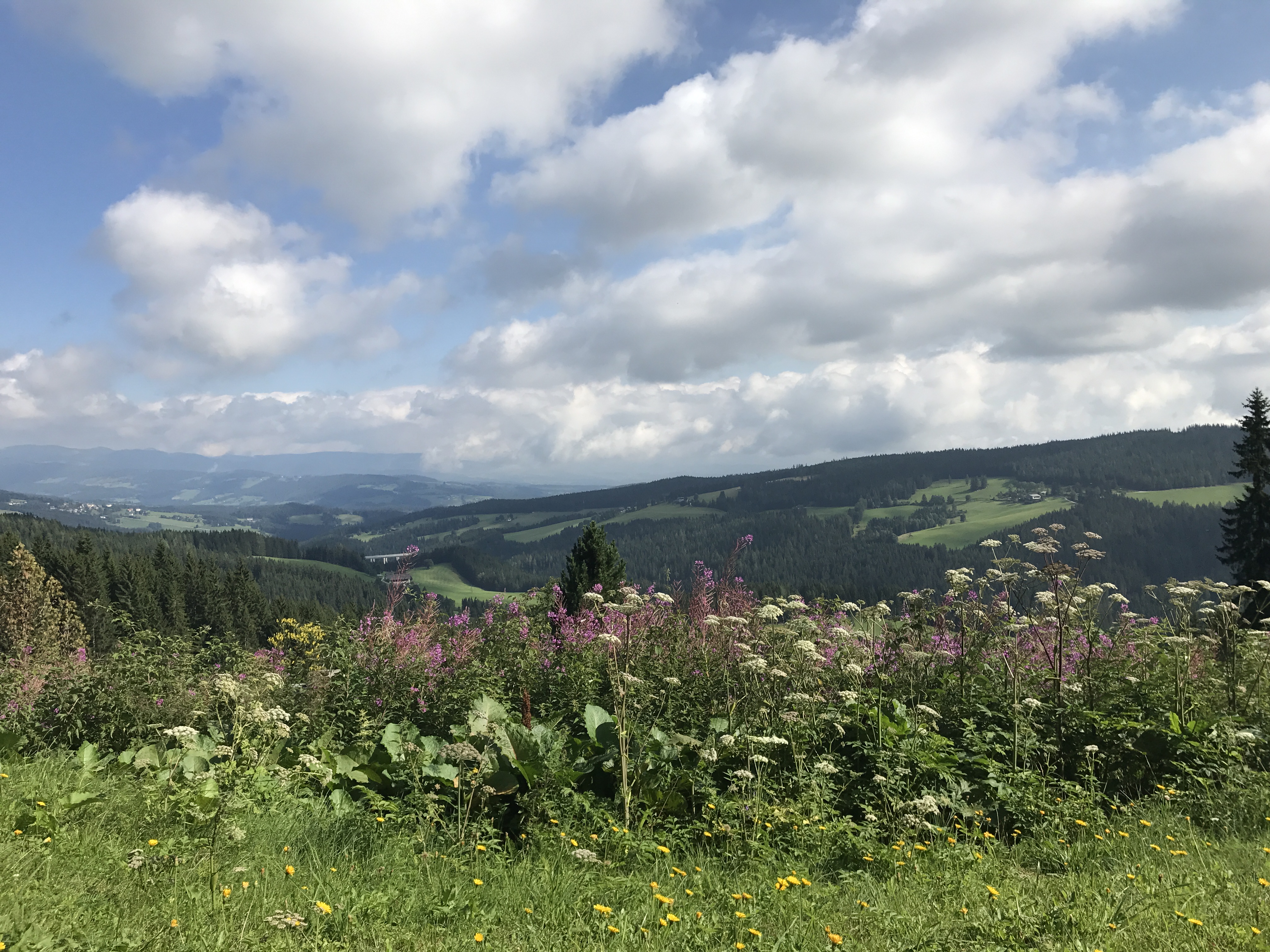 Camping Hebalm photo 4