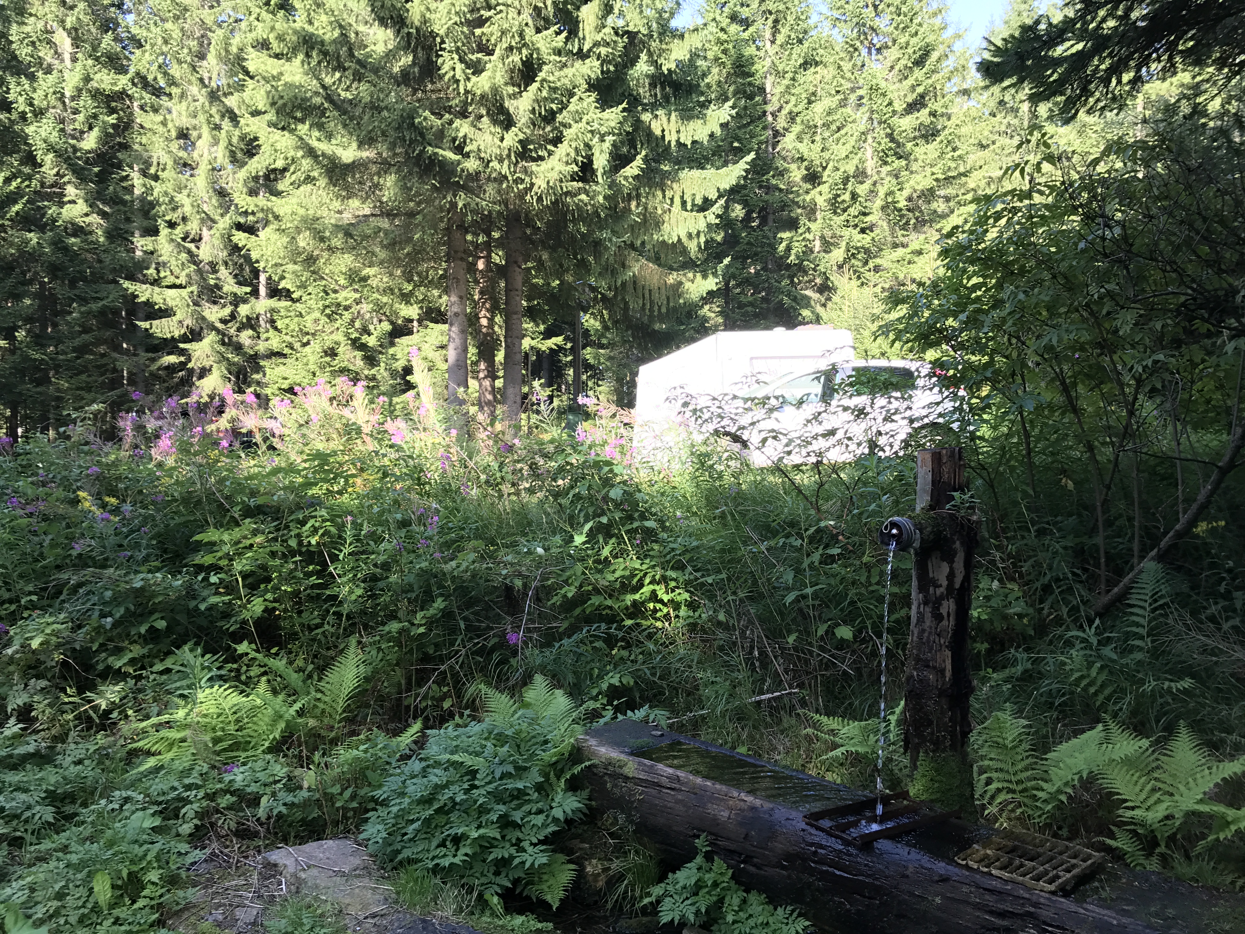 Camping Hebalm photo 3