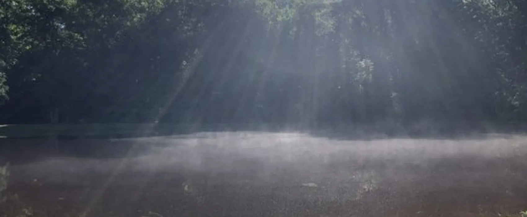 Fredericksburg/Washington DC KOA