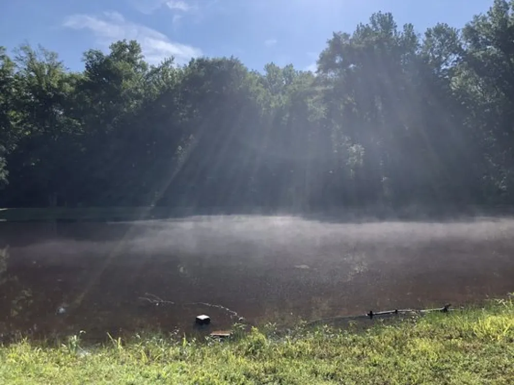 Fredericksburg/Washington DC KOA