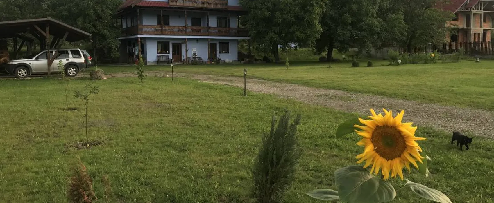 Camping La Gradina