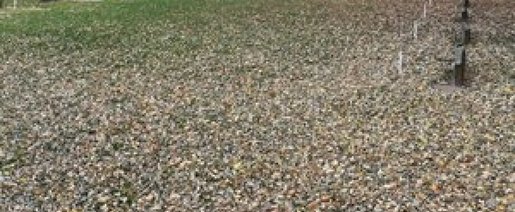 Riverside Park Campground