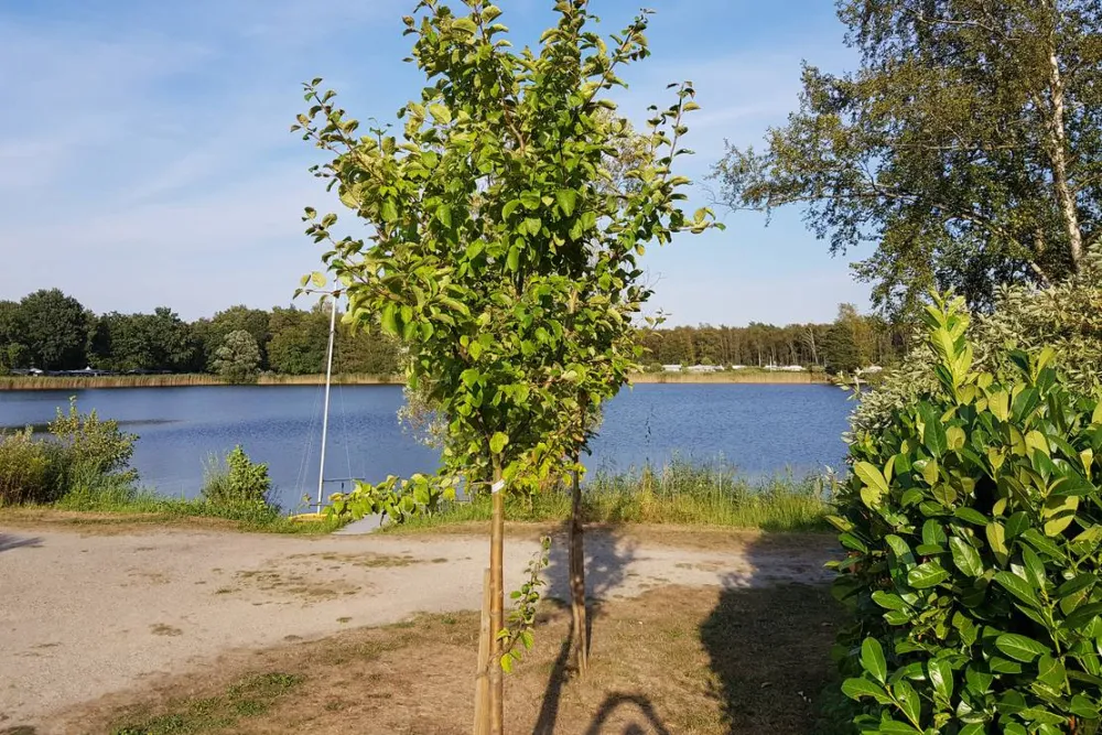 Naturisten FamilienSport- und NaturCamp Sonnensee