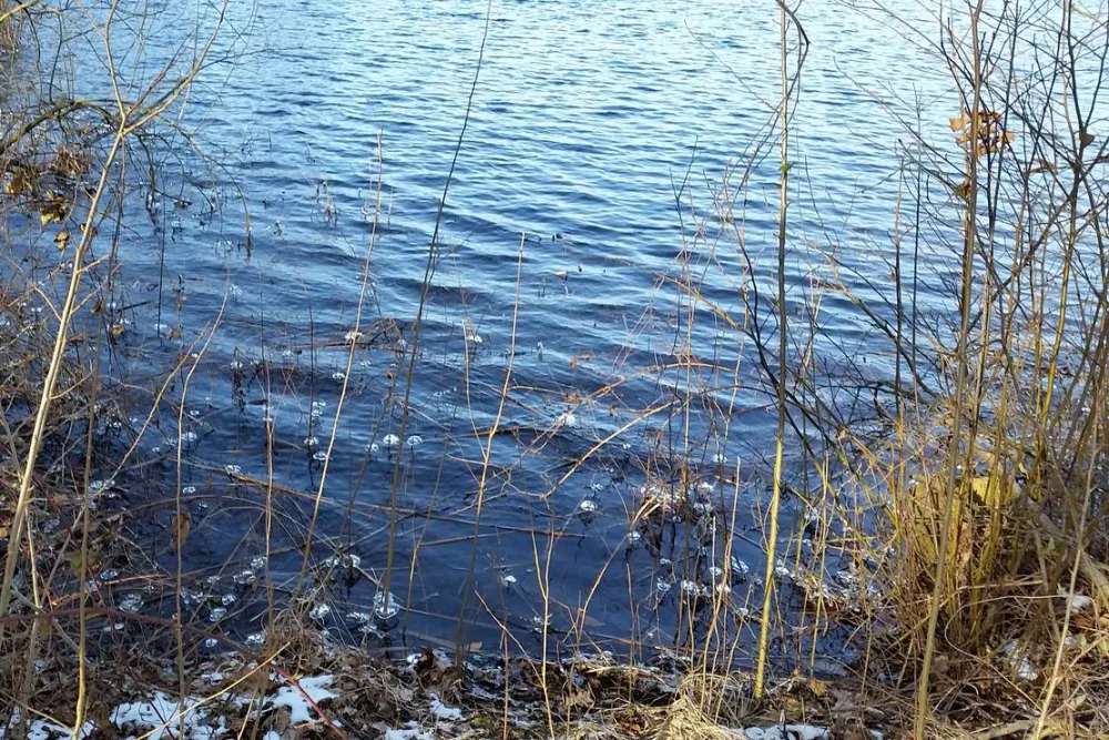 Naturisten FamilienSport- und NaturCamp Sonnensee