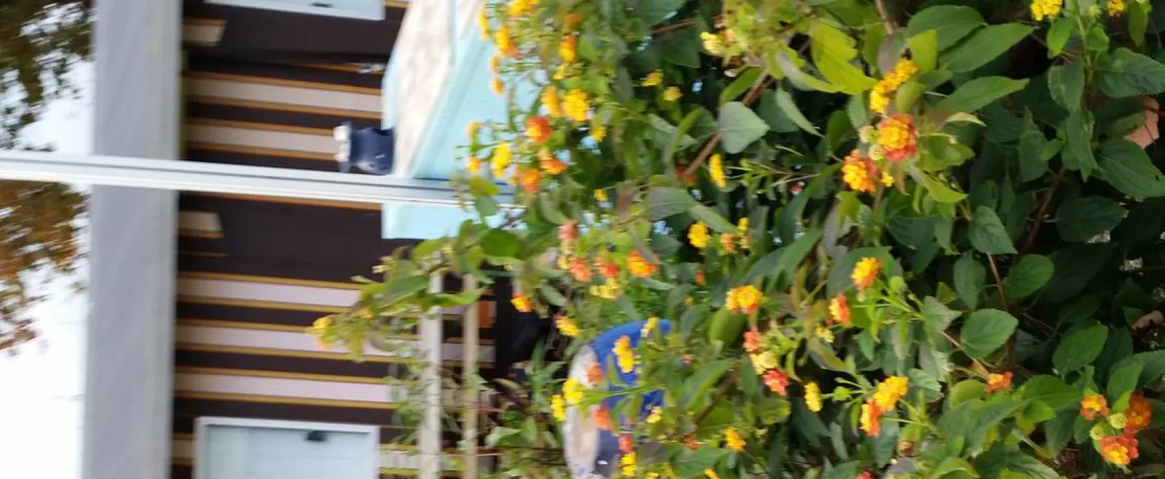 Naturisten FamilienSport- und NaturCamp Sonnensee