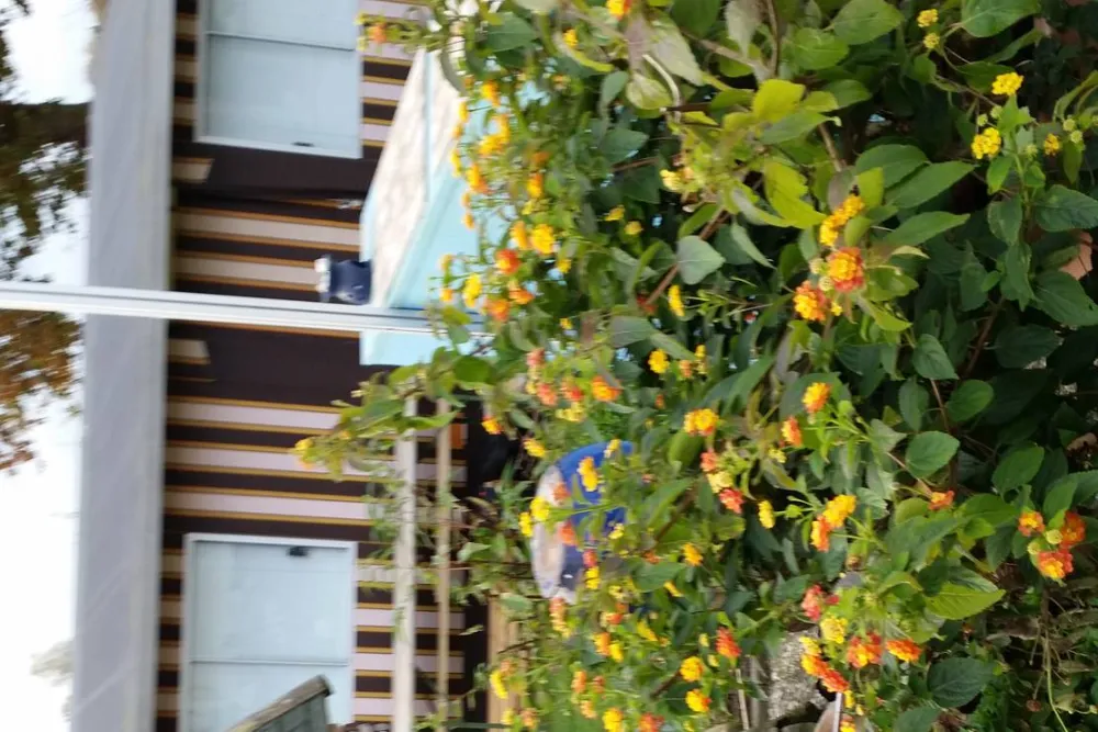 Naturisten FamilienSport- und NaturCamp Sonnensee