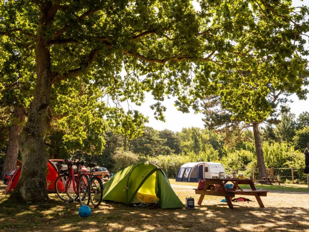 DCU-Camping Rønne Strand - Galløkken