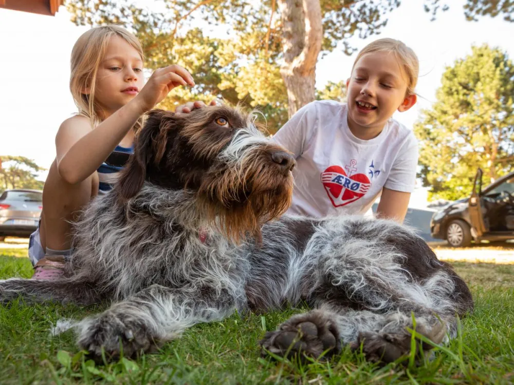 DCU-Camping Rønne Strand - Galløkken