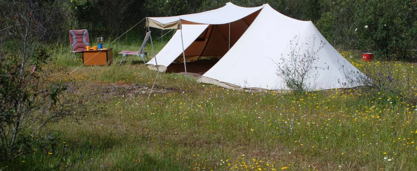 Bubulcus & Bolotas Camping