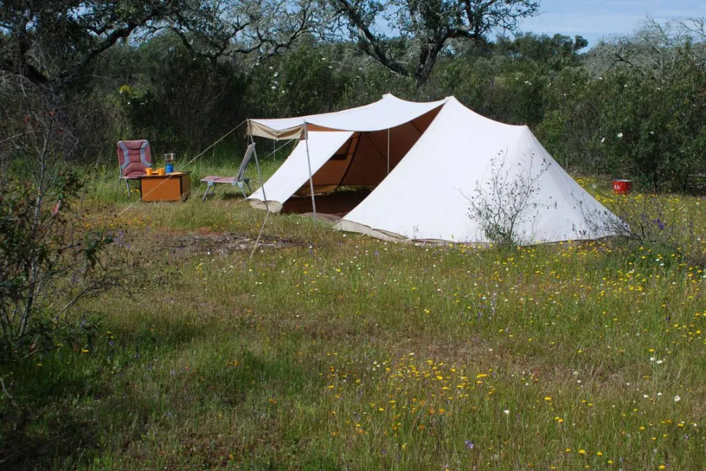 Bubulcus & Bolotas Camping