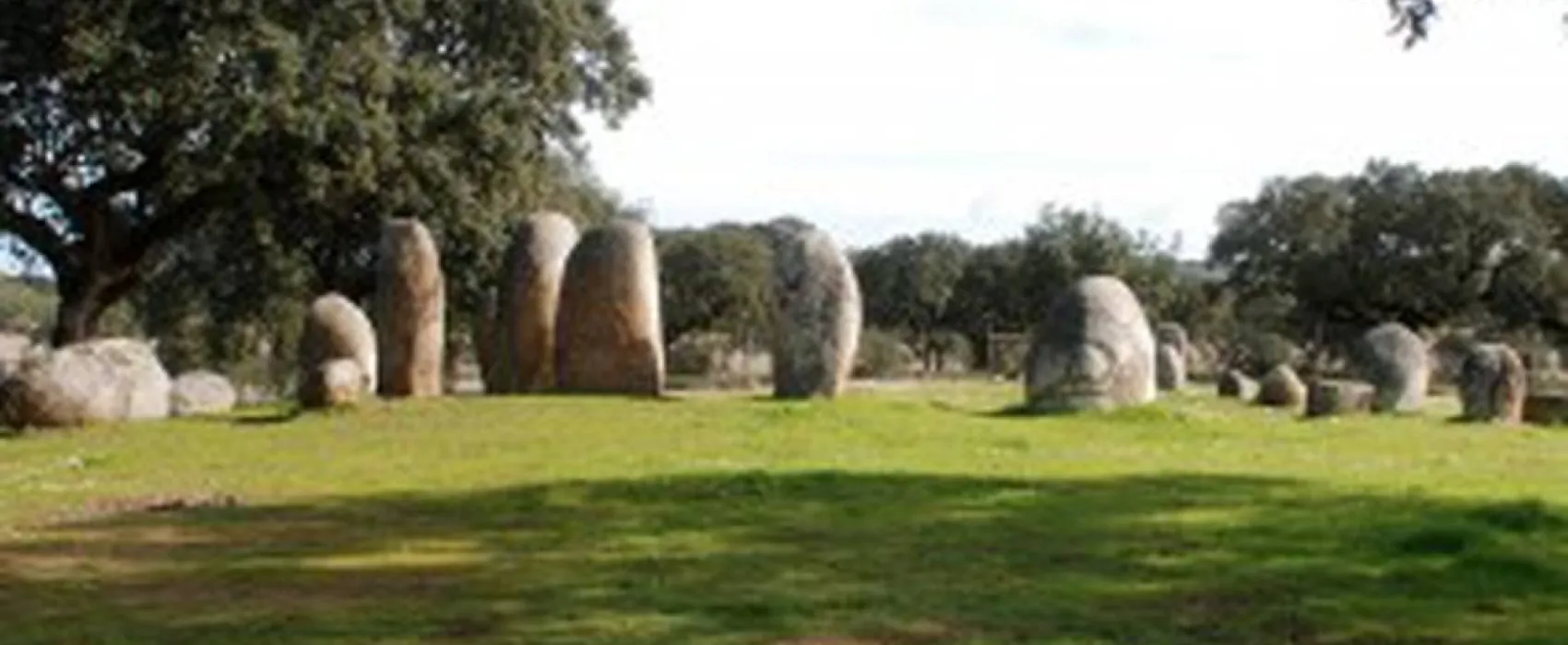 Bubulcus & Bolotas Camping