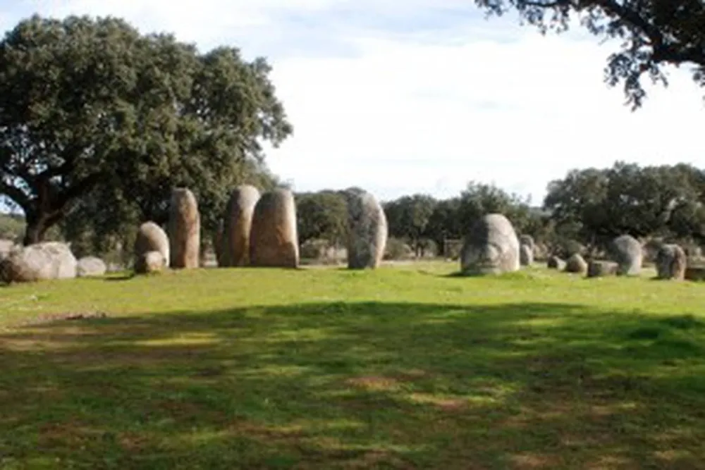 Bubulcus & Bolotas Camping