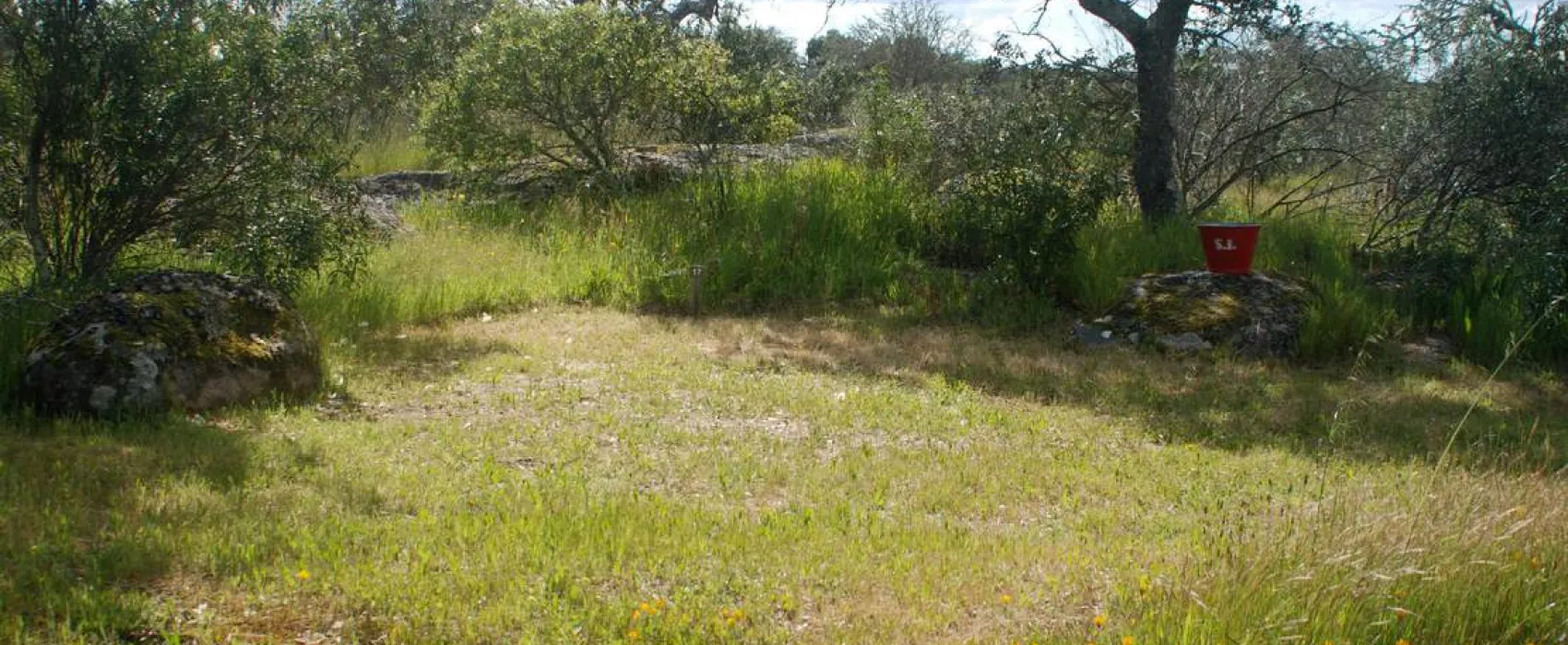 Bubulcus & Bolotas Camping