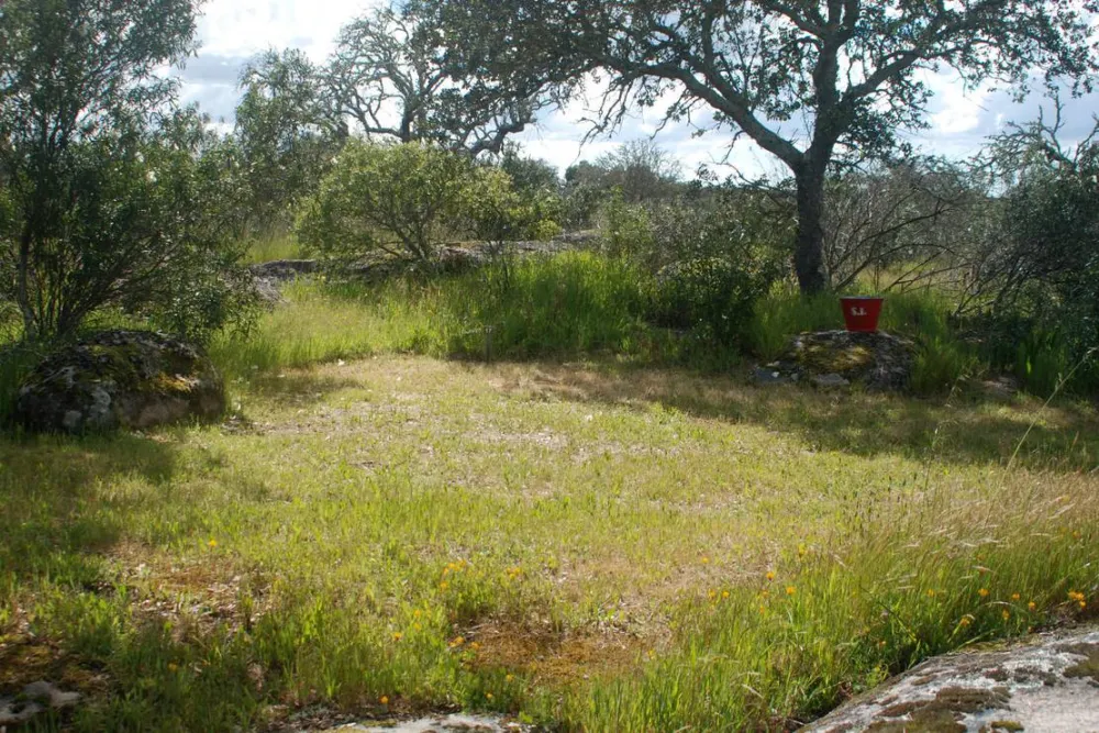 Bubulcus & Bolotas Camping