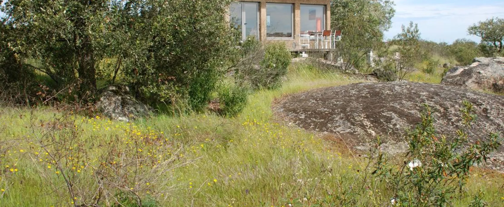 Bubulcus & Bolotas Camping