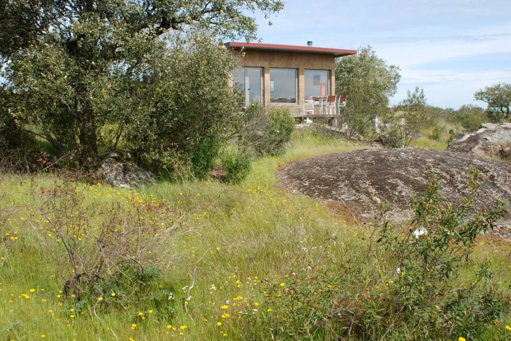 Bubulcus & Bolotas Camping