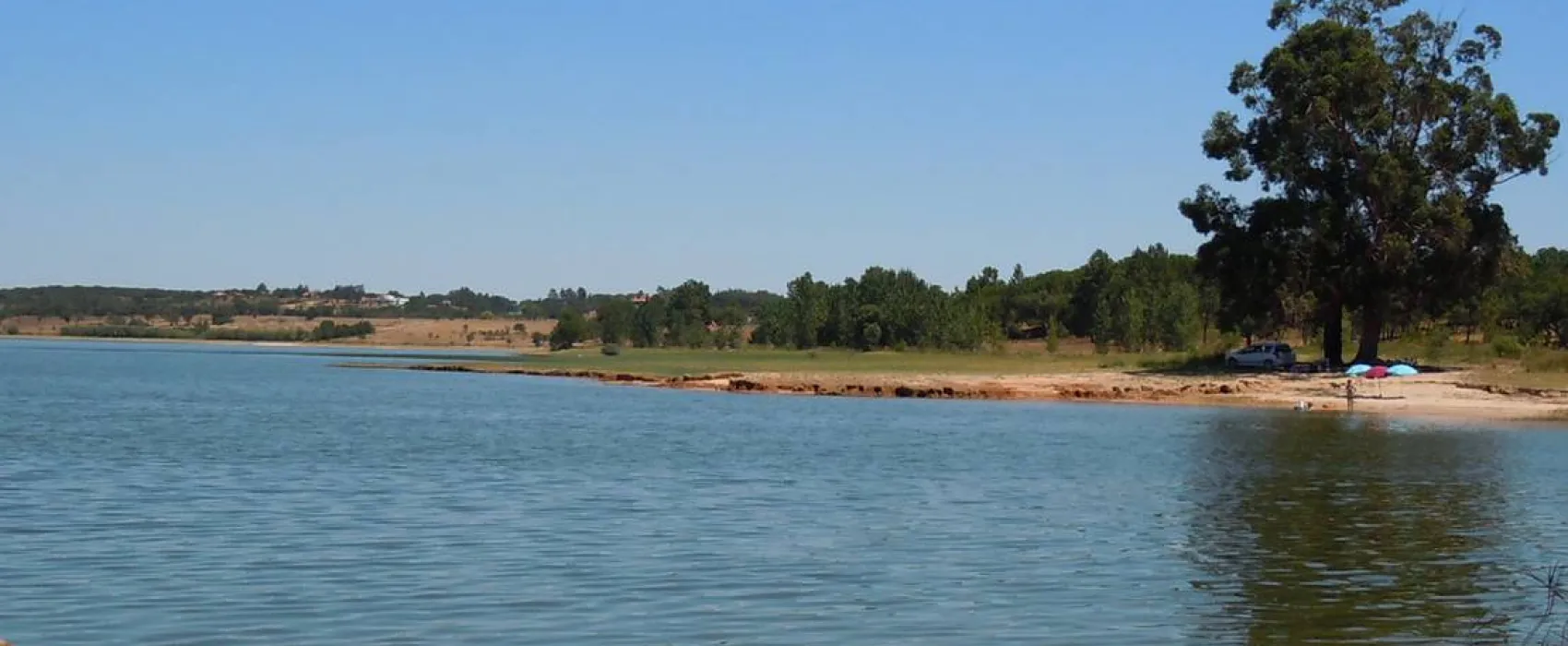 Bubulcus & Bolotas Camping