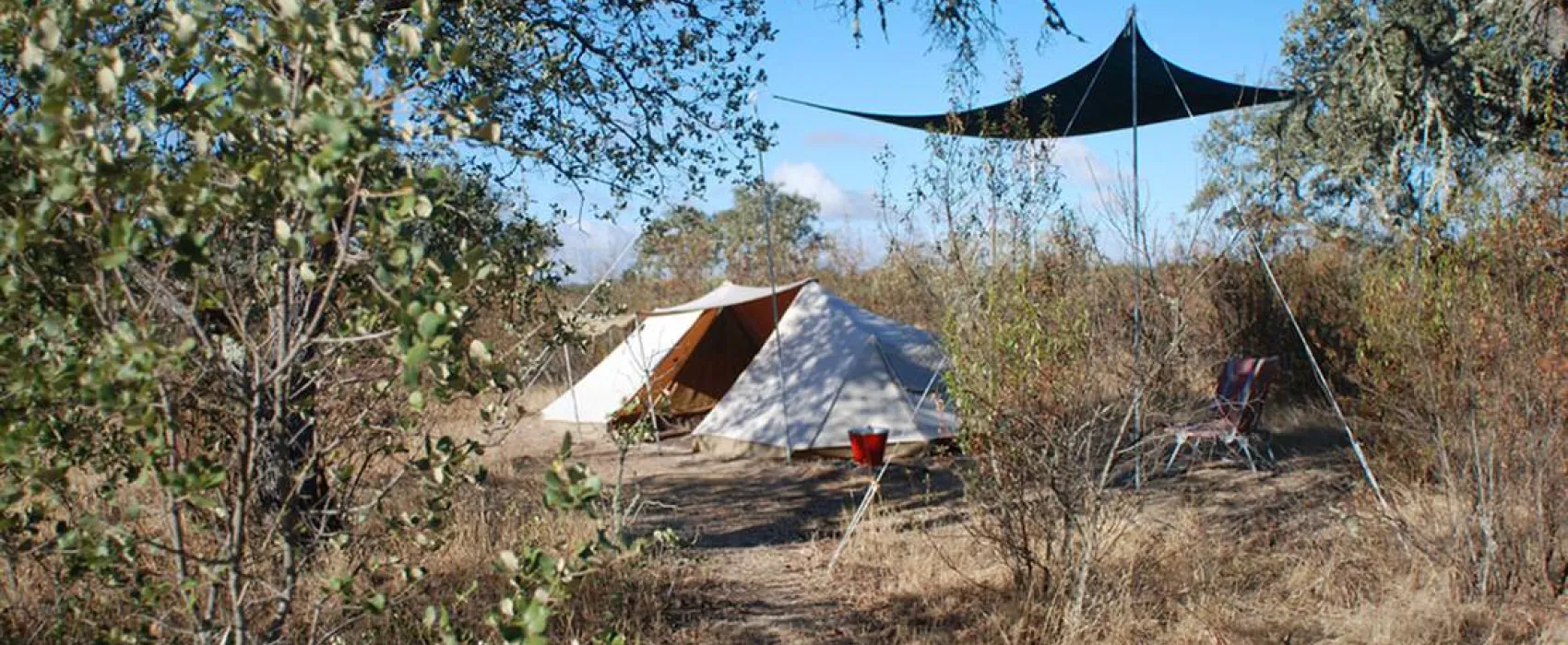 Bubulcus & Bolotas Camping