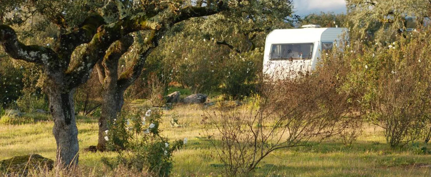 Bubulcus & Bolotas Camping