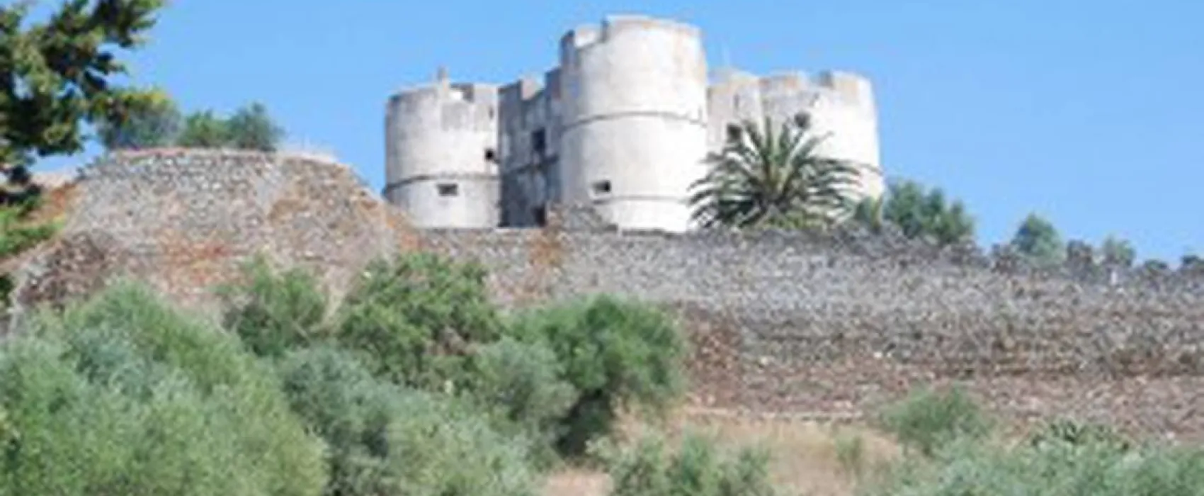 Bubulcus & Bolotas Camping