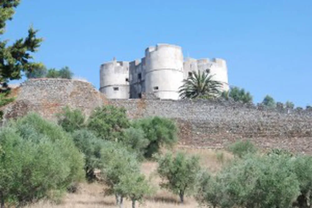 Bubulcus & Bolotas Camping