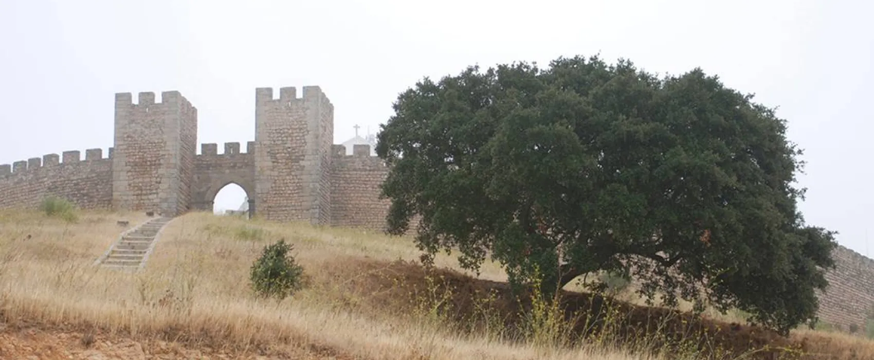 Bubulcus & Bolotas Camping