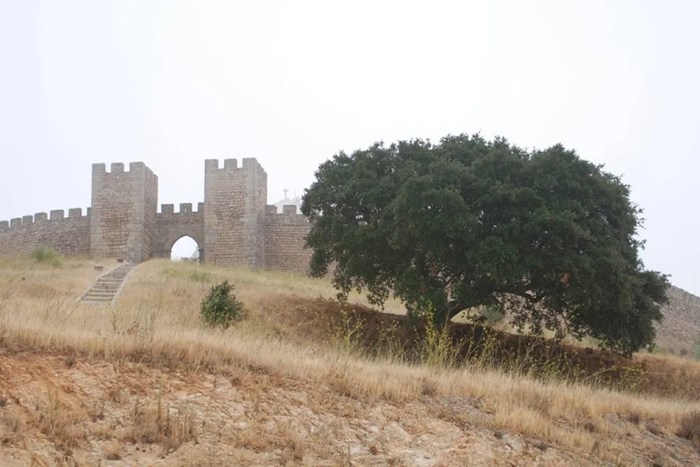 Bubulcus & Bolotas Camping