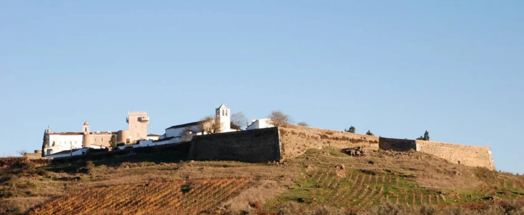 Bubulcus & Bolotas Camping