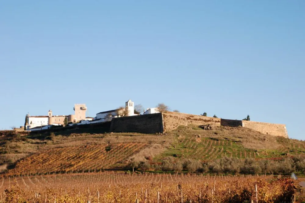 Bubulcus & Bolotas Camping